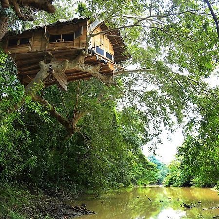 Kumbuk Tree House Villa Tissamaharama Ngoại thất bức ảnh