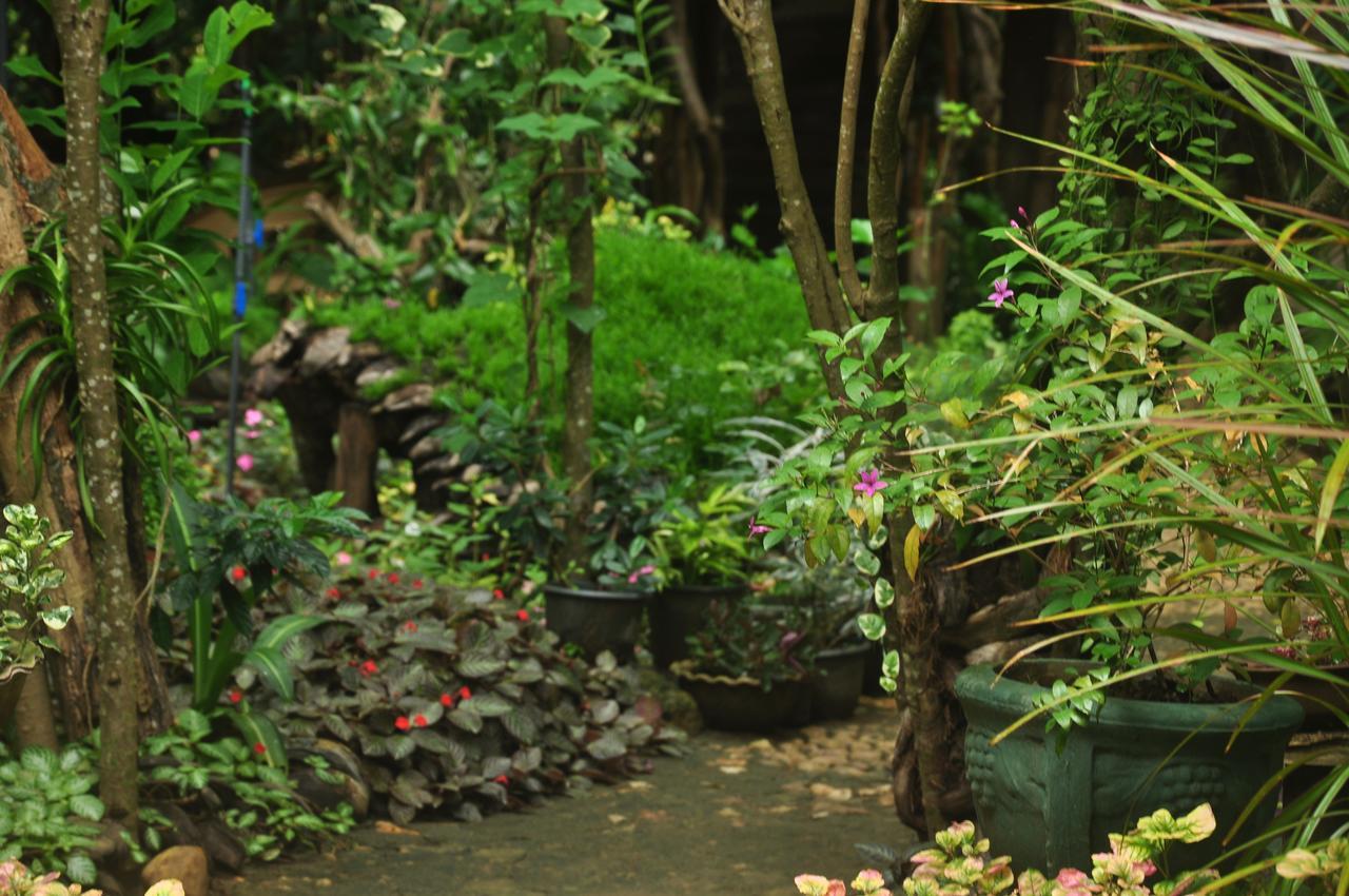 Kumbuk Tree House Villa Tissamaharama Ngoại thất bức ảnh