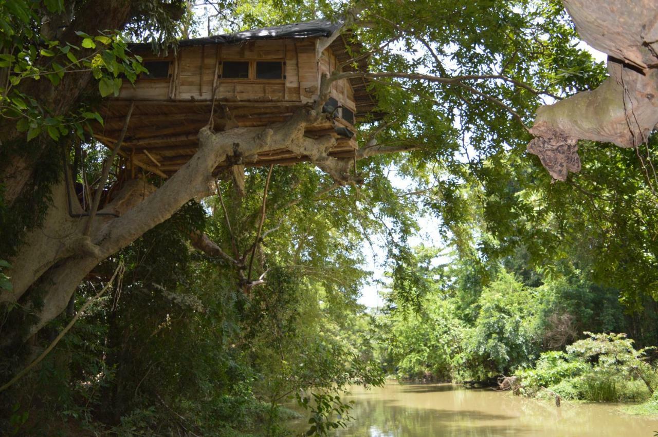 Kumbuk Tree House Villa Tissamaharama Ngoại thất bức ảnh