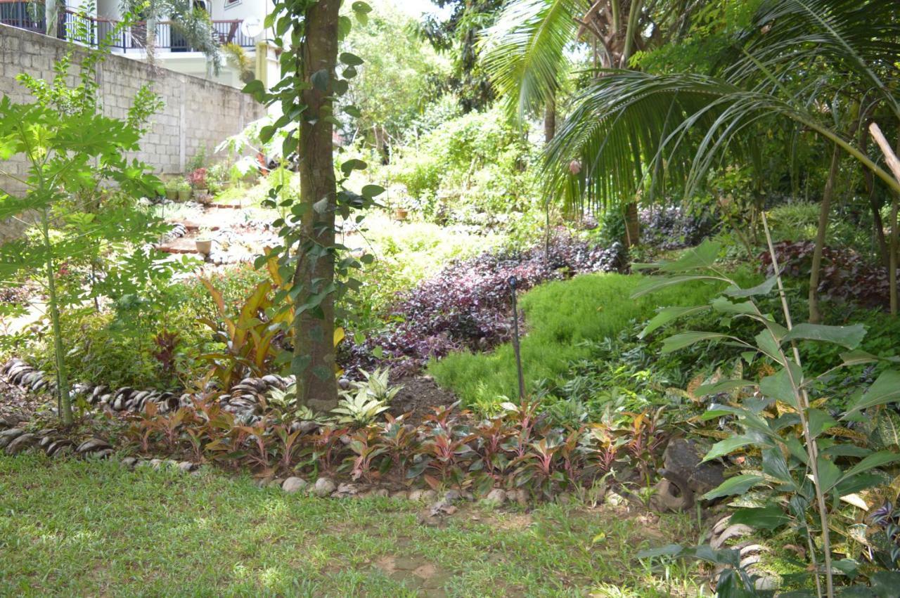 Kumbuk Tree House Villa Tissamaharama Ngoại thất bức ảnh