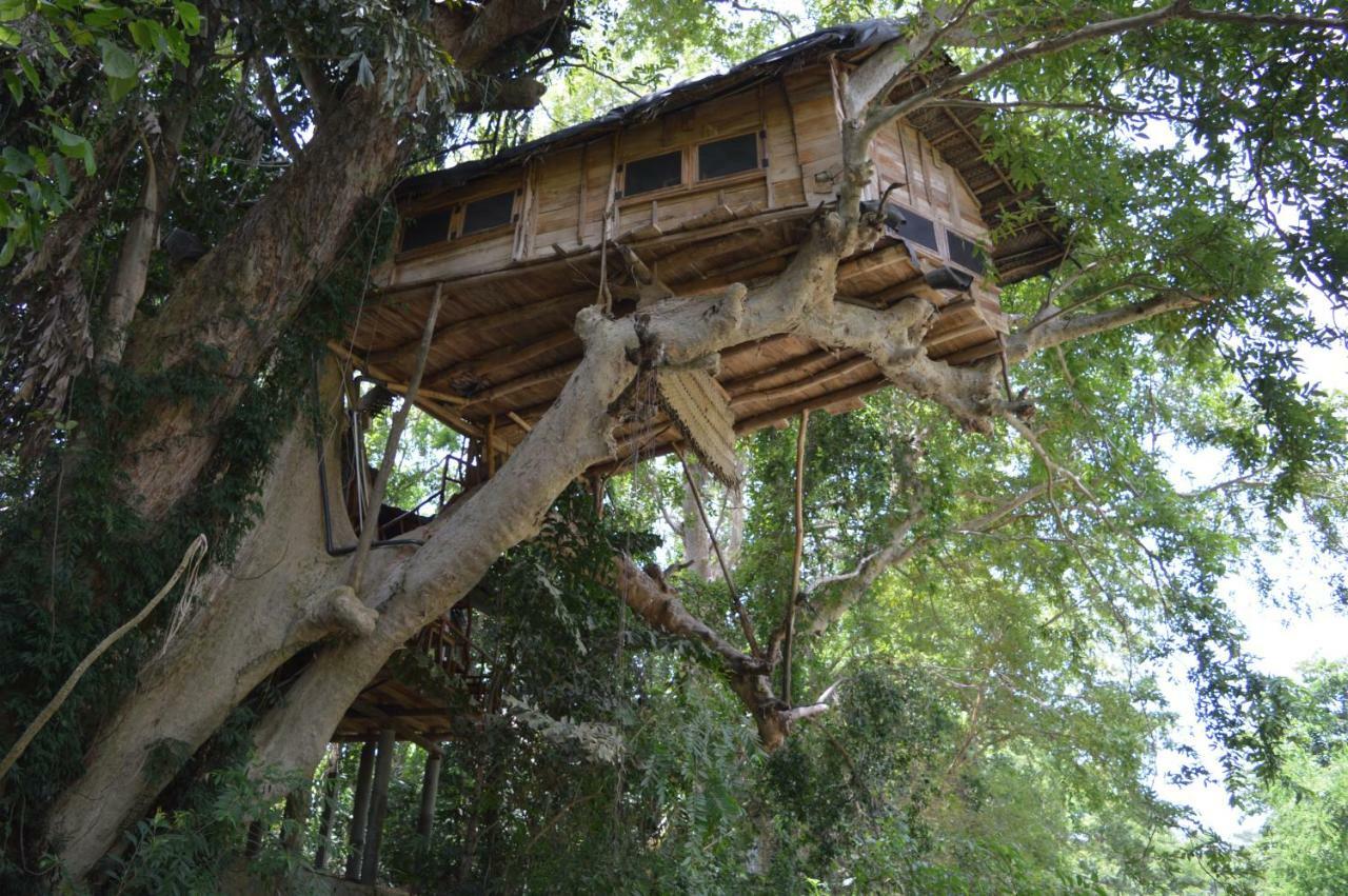 Kumbuk Tree House Villa Tissamaharama Ngoại thất bức ảnh